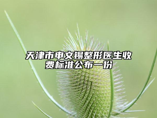 天津市申文锡整形医生收费标准公布一份