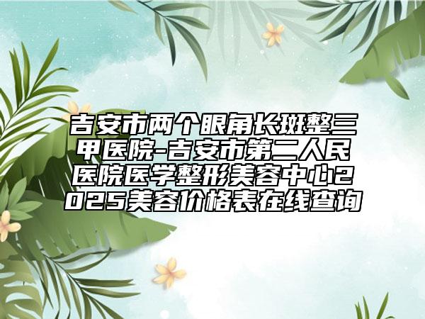 吉安市两个眼角长斑整三甲医院-吉安市第二人民医院医学整形美容中心2025美容价格表在线查询