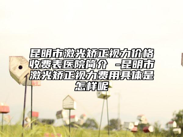 昆明市激光矫正视力价格收费表医院简介 -昆明市激光矫正视力费用具体是怎样呢