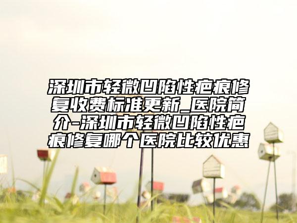 深圳市轻微凹陷性疤痕修复收费标准更新_医院简介-深圳市轻微凹陷性疤痕修复哪个医院比较优惠