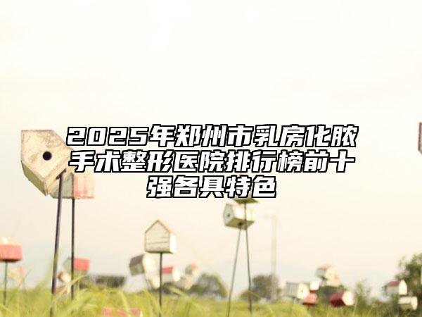 2025年郑州市乳房化脓手术整形医院排行榜前十强各具特色