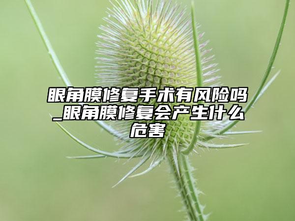 眼角膜修复手术有风险吗_眼角膜修复会产生什么危害