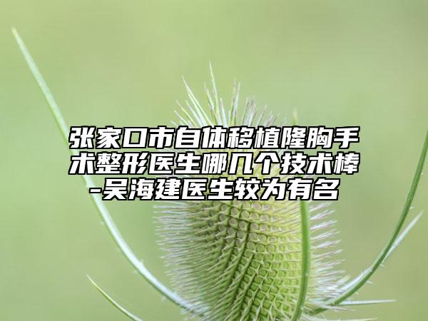 张家口市自体移植隆胸手术整形医生哪几个技术棒-吴海建医生较为有名