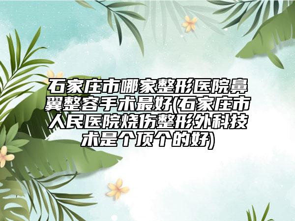 石家庄市哪家整形医院鼻翼整容手术最好(石家庄市人民医院烧伤整形外科技术是个顶个的好)