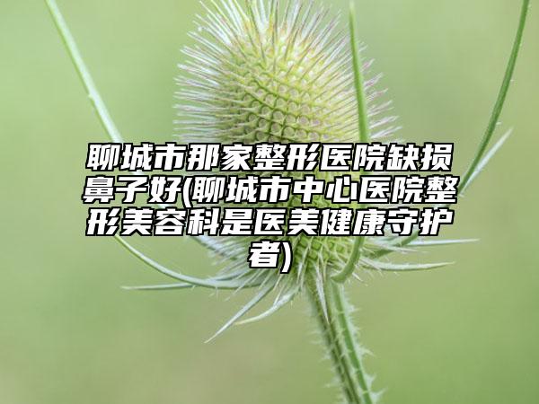 聊城市那家整形医院缺损鼻子好(聊城市中心医院整形美容科是医美健康守护者)