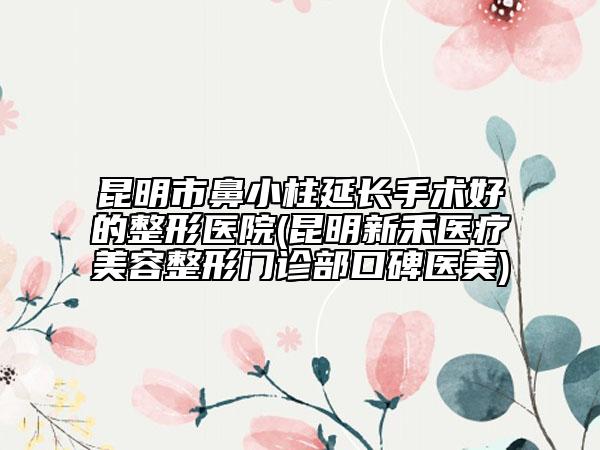 昆明市鼻小柱延长手术好的整形医院(昆明新禾医疗美容整形门诊部口碑医美)