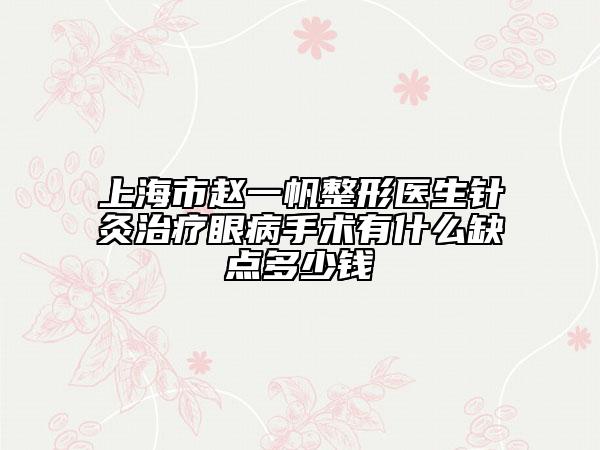 上海市赵一帆整形医生针灸治疗眼病手术有什么缺点多少钱