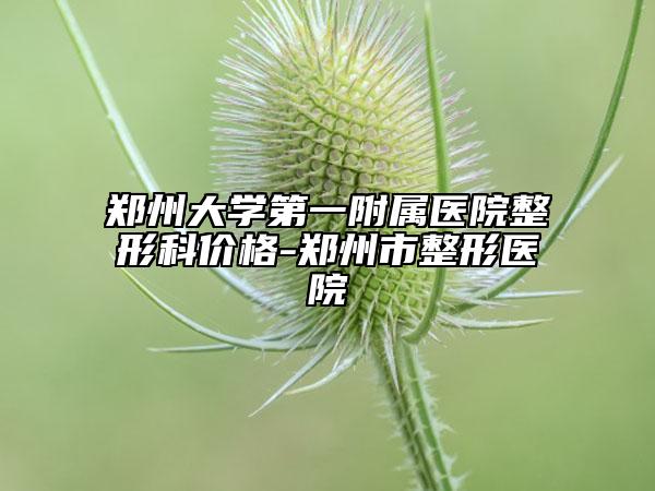 郑州大学第一附属医院整形科价格-郑州市整形医院