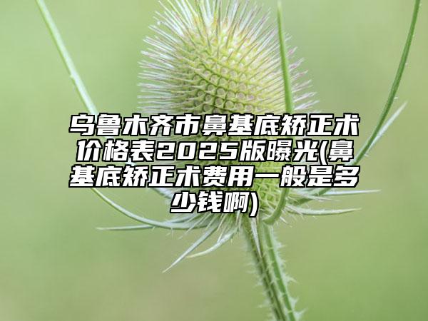 乌鲁木齐市鼻基底矫正术价格表2025版曝光(鼻基底矫正术费用一般是多少钱啊)