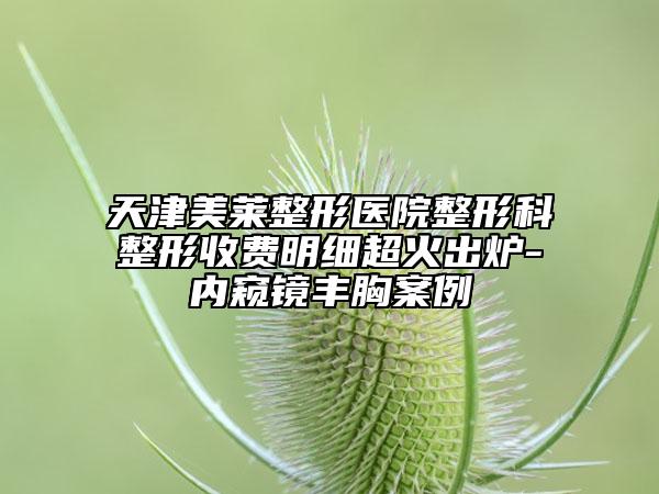 天津美莱整形医院整形科整形收费明细超火出炉-内窥镜丰胸案例