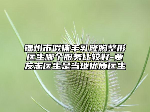 锦州市假体丰乳隆胸整形医生哪个服务比较好-贾友志医生是当地优质医生
