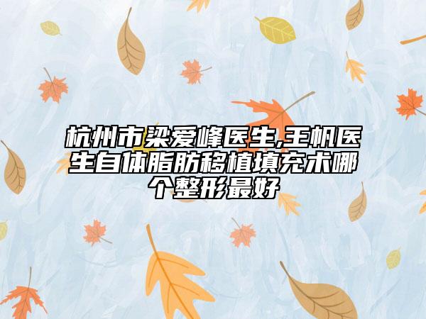 杭州市梁爱峰医生,王帆医生自体脂肪移植填充术哪个整形最好