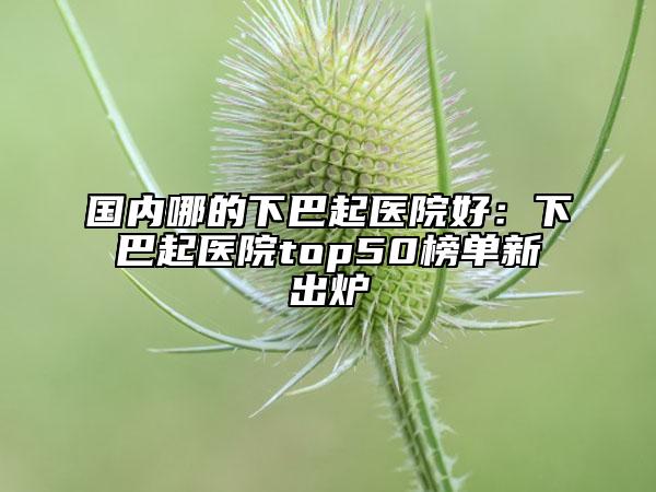 国内哪的下巴起医院好：下巴起医院top50榜单新出炉