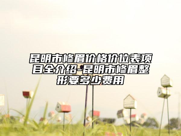昆明市修眉价格价位表项目全介绍-昆明市修眉整形要多少费用