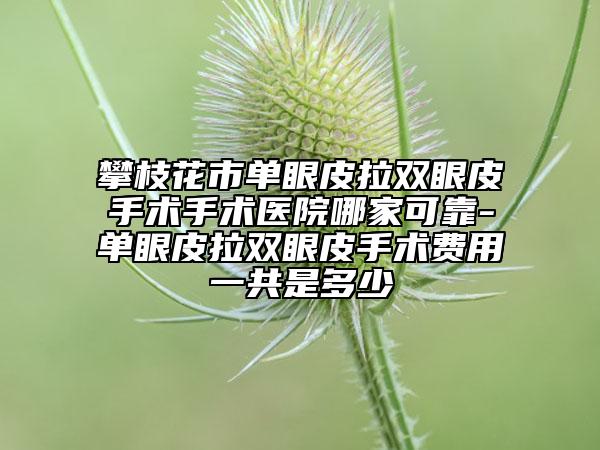 攀枝花市单眼皮拉双眼皮手术手术医院哪家可靠-单眼皮拉双眼皮手术费用一共是多少