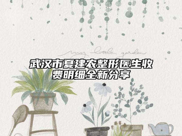 武汉市夏建农整形医生收费明细全新分享