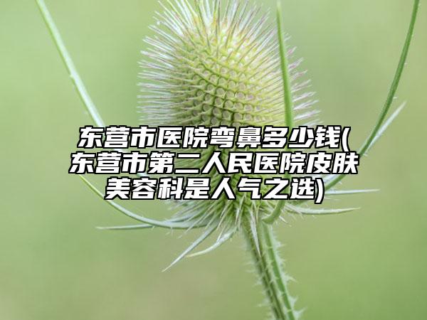 东营市医院弯鼻多少钱(东营市第二人民医院皮肤美容科是人气之选)