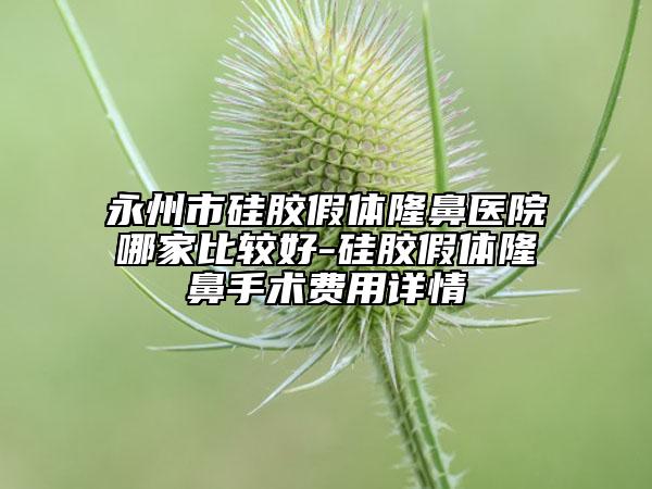 永州市硅胶假体隆鼻医院哪家比较好-硅胶假体隆鼻手术费用详情