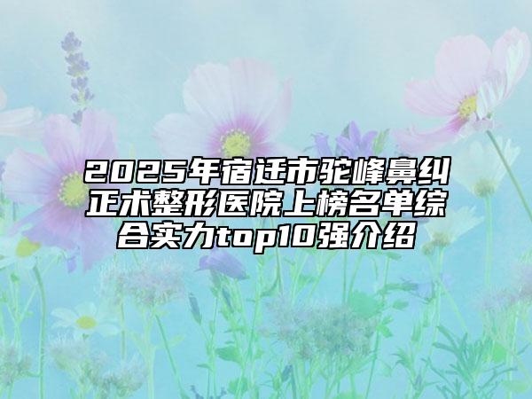2025年宿迁市驼峰鼻纠正术整形医院上榜名单综合实力top10强介绍