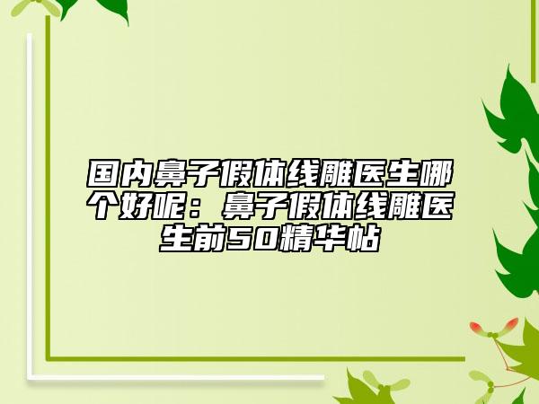 国内鼻子假体线雕医生哪个好呢：鼻子假体线雕医生前50精华帖