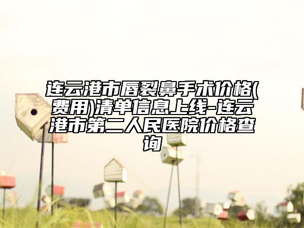 连云港市唇裂鼻手术价格(费用)清单信息上线-连云港市第二人民医院价格查询