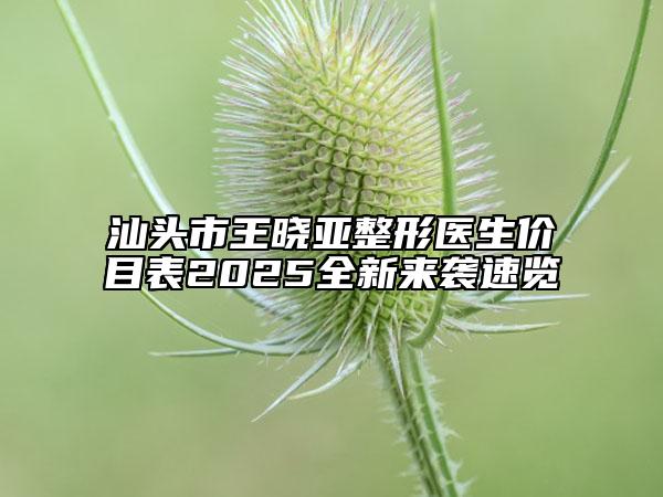 汕头市王晓亚整形医生价目表2025全新来袭速览