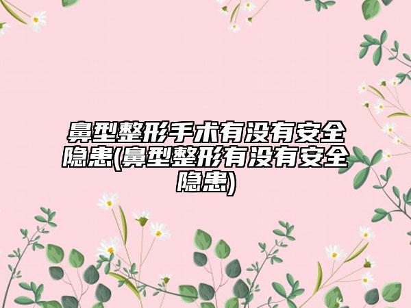 鼻型整形手术有没有安全隐患(鼻型整形有没有安全隐患)