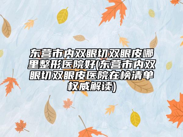 东营市内双眼切双眼皮哪里整形医院好(东营市内双眼切双眼皮医院在榜清单权威解读)