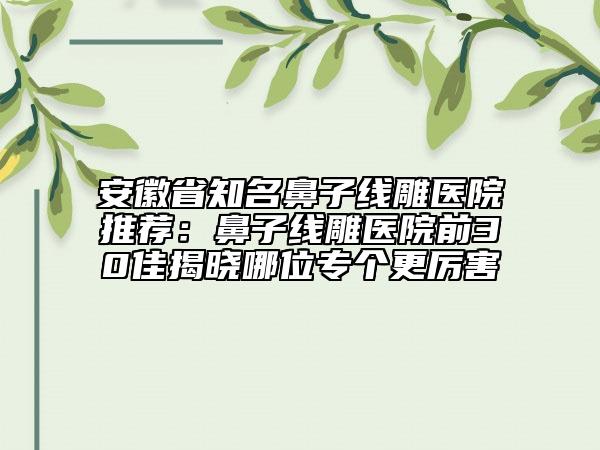 安徽省知名鼻子线雕医院推荐：鼻子线雕医院前30佳揭晓哪位专个更厉害