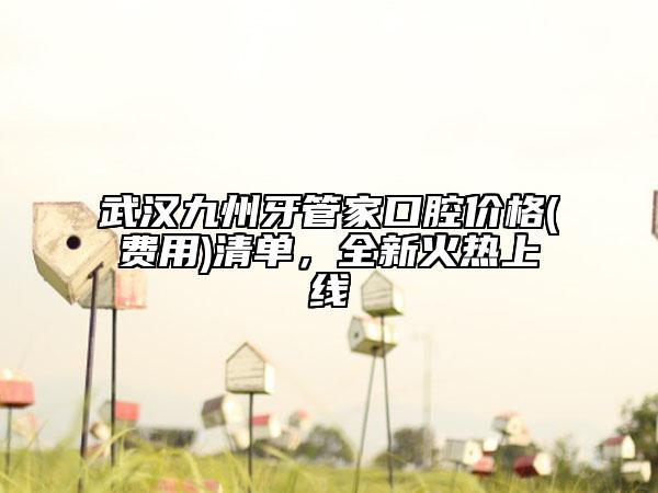 武汉九州牙管家口腔价格(费用)清单，全新火热上线