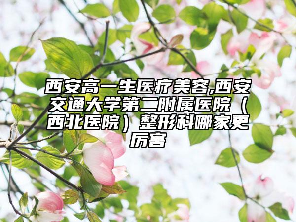 西安高一生医疗美容,西安交通大学第二附属医院（西北医院）整形科哪家更厉害