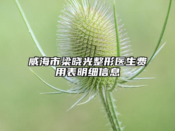 威海市梁晓光整形医生费用表明细信息