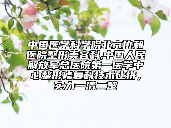 中国医学科学院北京协和医院整形美容科,中国人民解放军总医院第一医学中心整形修复科技术比拼，实力一清二楚