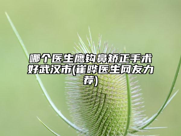 哪个医生鹰钩鼻矫正手术好武汉市(崔晔医生网友力荐)