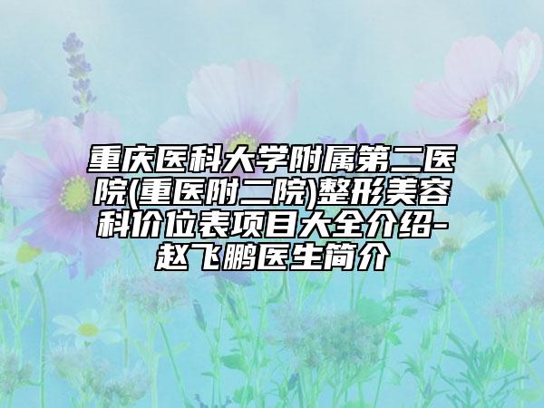 重庆医科大学附属第二医院(重医附二院)整形美容科价位表项目大全介绍-赵飞鹏医生简介