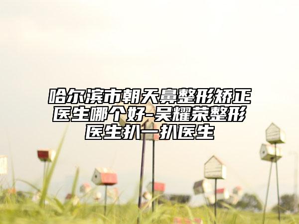 哈尔滨市朝天鼻整形矫正医生哪个好-吴耀荣整形医生扒一扒医生
