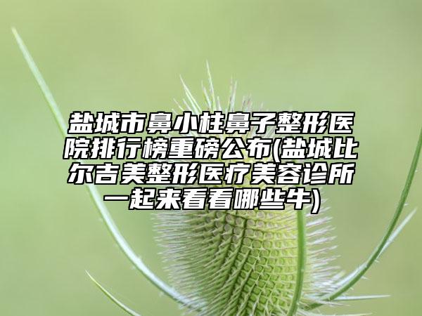 盐城市鼻小柱鼻子整形医院排行榜重磅公布(盐城比尔吉美整形医疗美容诊所一起来看看哪些牛)