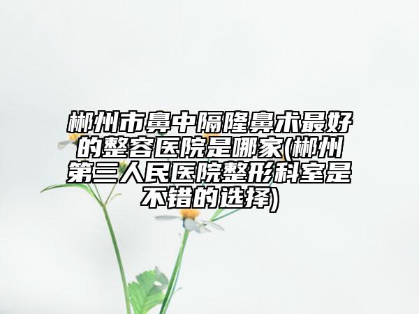 郴州市鼻中隔隆鼻术最好的整容医院是哪家(郴州第三人民医院整形科室是不错的选择)