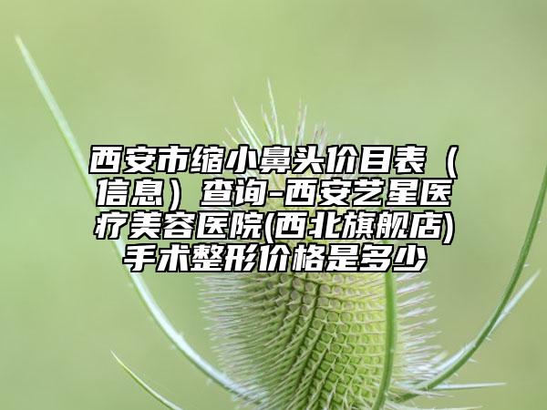 西安市缩小鼻头价目表（信息）查询-西安艺星医疗美容医院(西北旗舰店)手术整形价格是多少