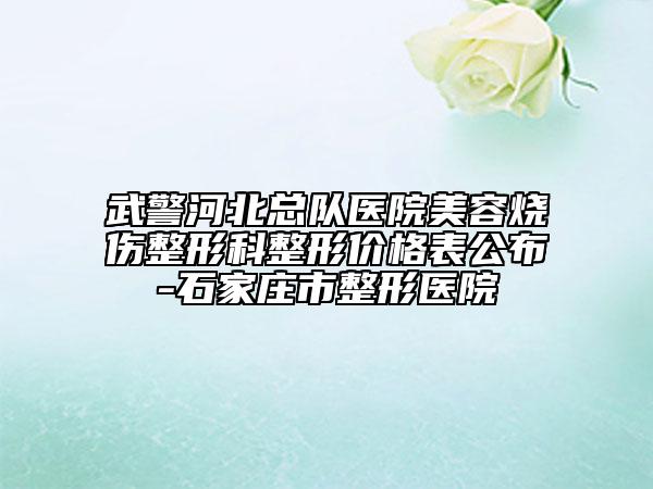 武警河北总队医院美容烧伤整形科整形价格表公布-石家庄市整形医院