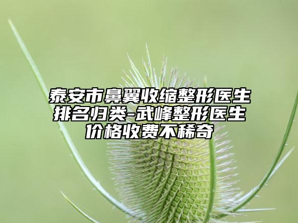 泰安市鼻翼收缩整形医生排名归类-武峰整形医生价格收费不稀奇