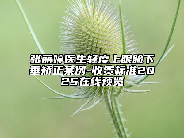 张丽婷医生轻度上眼睑下垂矫正案例-收费标准2025在线预览