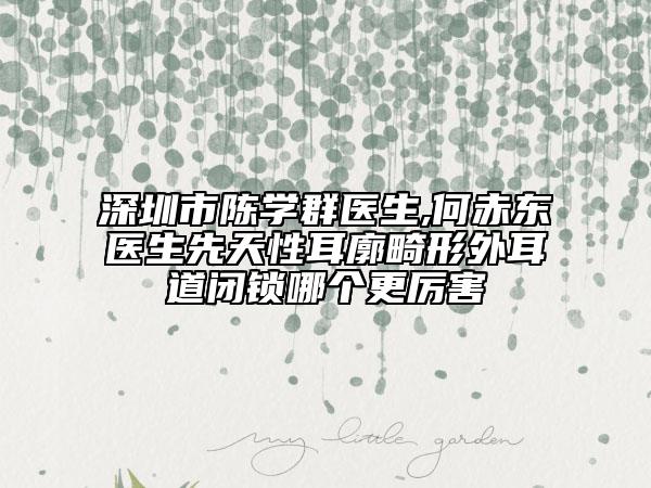 深圳市陈学群医生,何赤东医生先天性耳廓畸形外耳道闭锁哪个更厉害