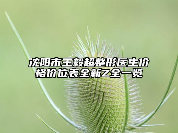 沈阳市王毅超整形医生价格价位表全新Z全一览