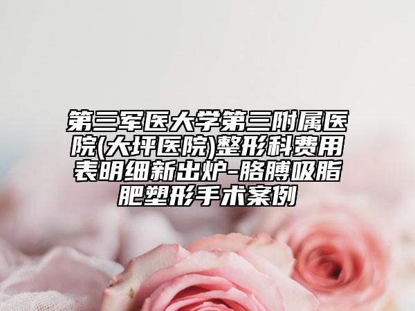 第三军医大学第三附属医院(大坪医院)整形科费用表明细新出炉-胳膊吸脂肥塑形手术案例