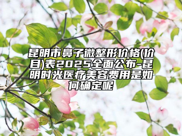 昆明市鼻子微整形价格(价目)表2025全面公布-昆明时光医疗美容费用是如何确定呢