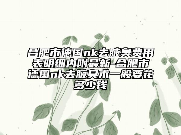 合肥市德国nk去腋臭费用表明细内附最新-合肥市德国nk去腋臭术一般要花多少钱