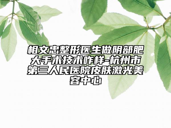 相文忠整形医生做阴部肥大手术技术咋样-杭州市第三人民医院皮肤激光美容中心