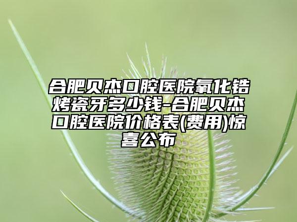 合肥贝杰口腔医院氧化锆烤瓷牙多少钱-合肥贝杰口腔医院价格表(费用)惊喜公布