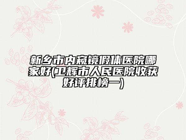 新乡市内窥镜假体医院哪家好(卫辉市人民医院收获好评排榜一)